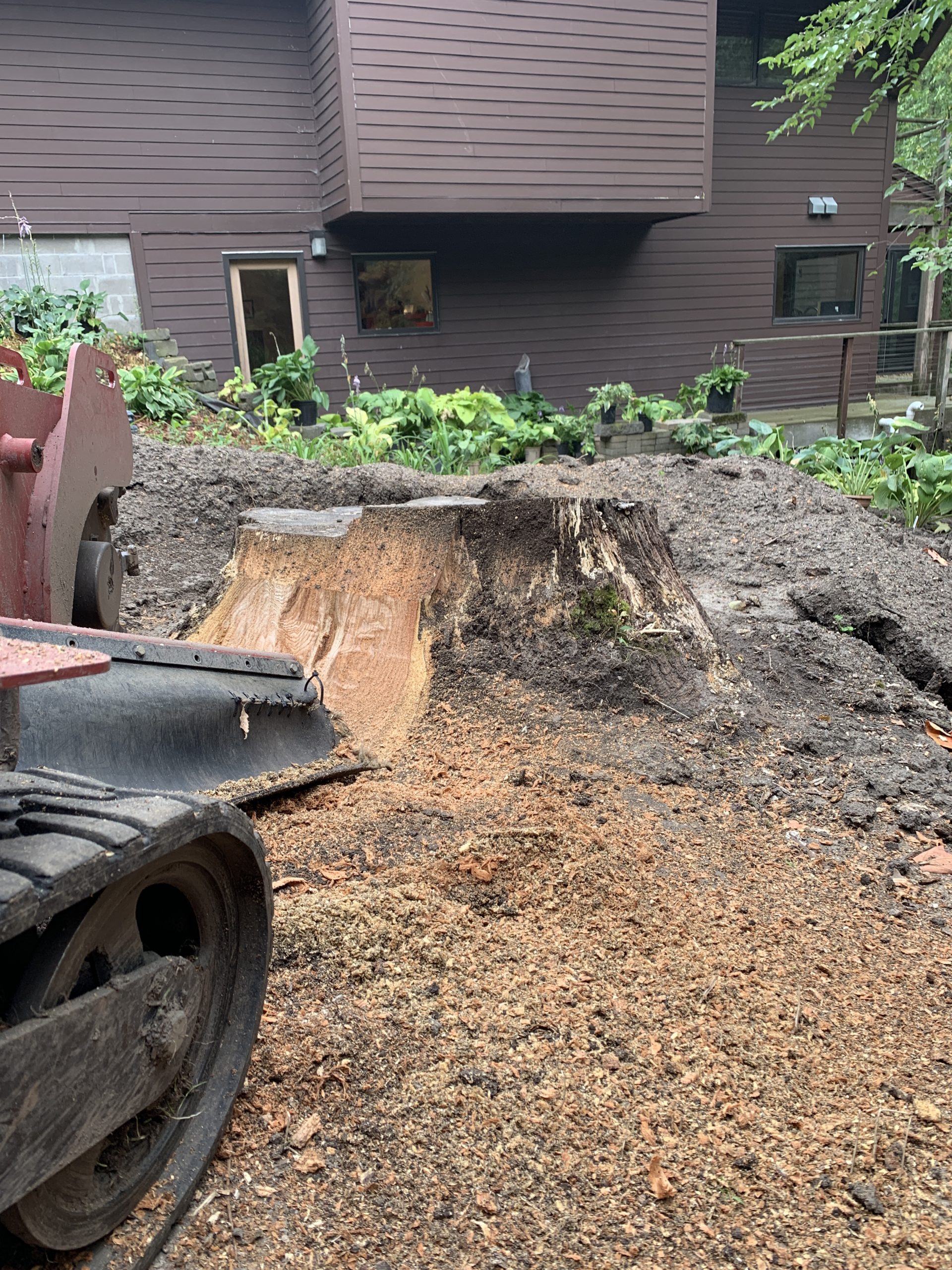 Bye Bye Stumps - Expert Stump Grinding Minneapolis