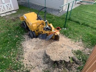 Bye Bye Stumps - Expert Stump Grinding Minneapolis