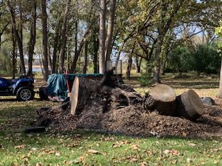 Bye Bye Stumps - Expert Stump Grinding Minneapolis