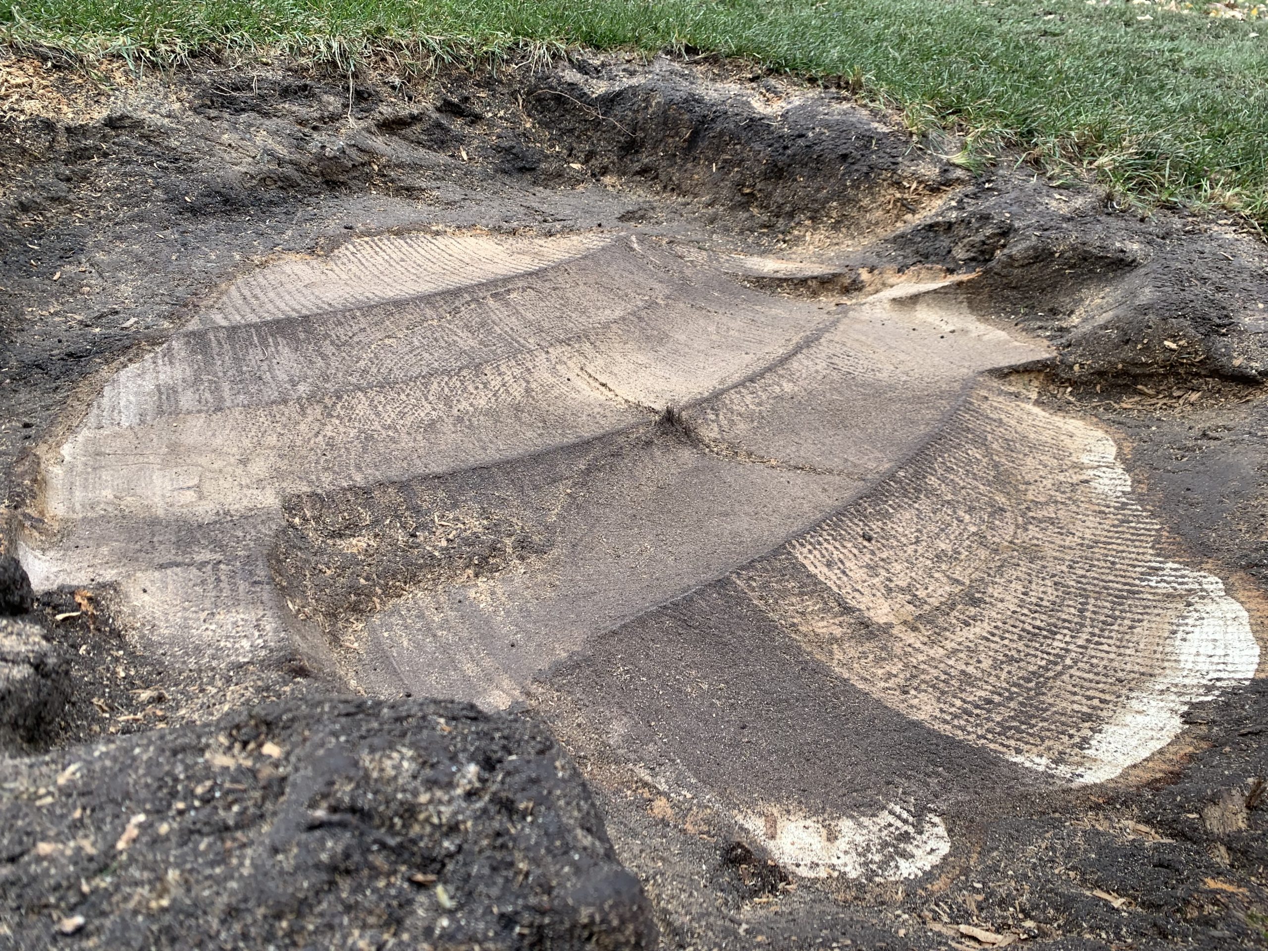 Bye Bye Stumps - Expert Stump Grinding Minneapolis