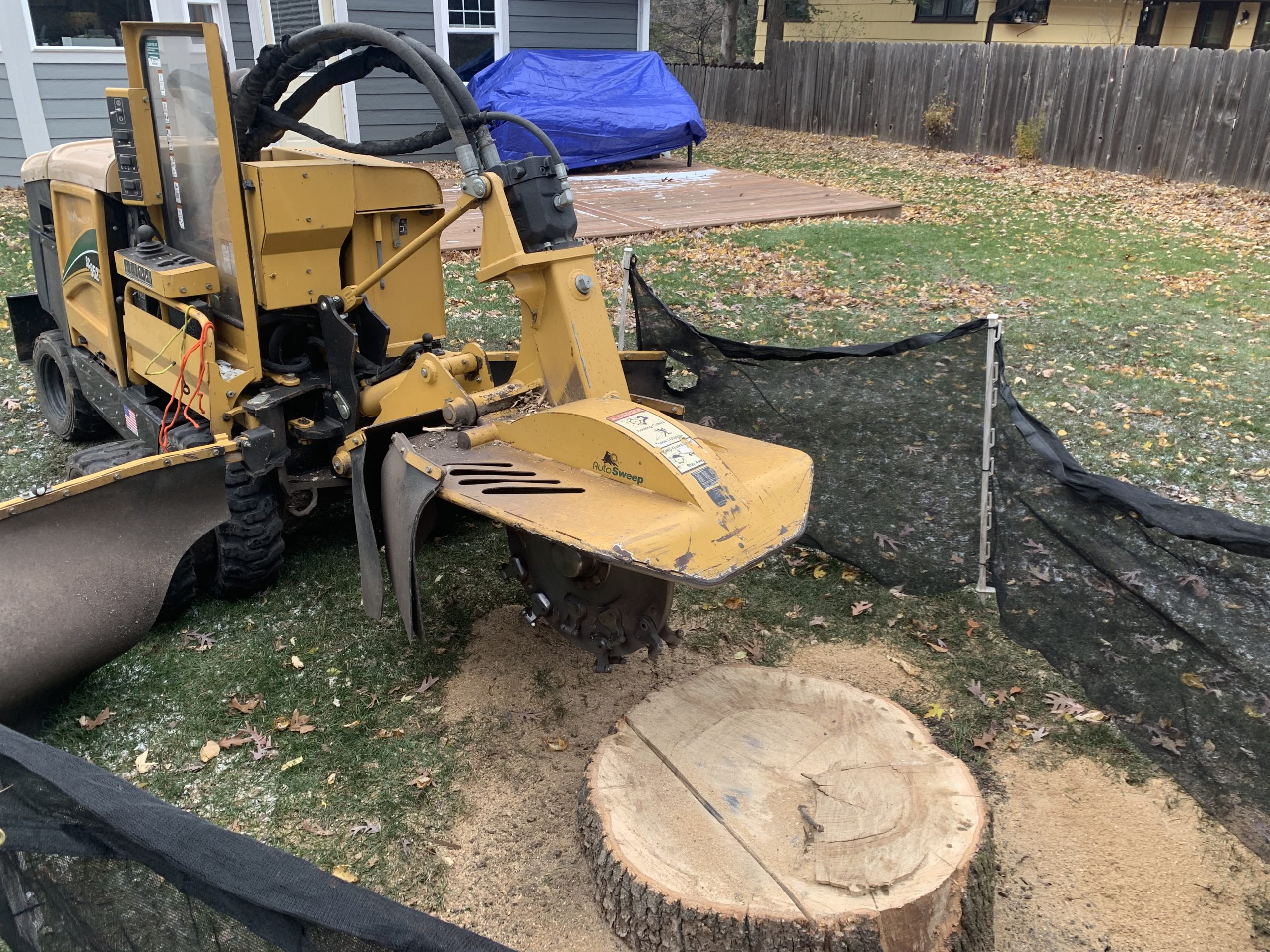 Bye Bye Stumps - Expert Stump Grinding Minneapolis