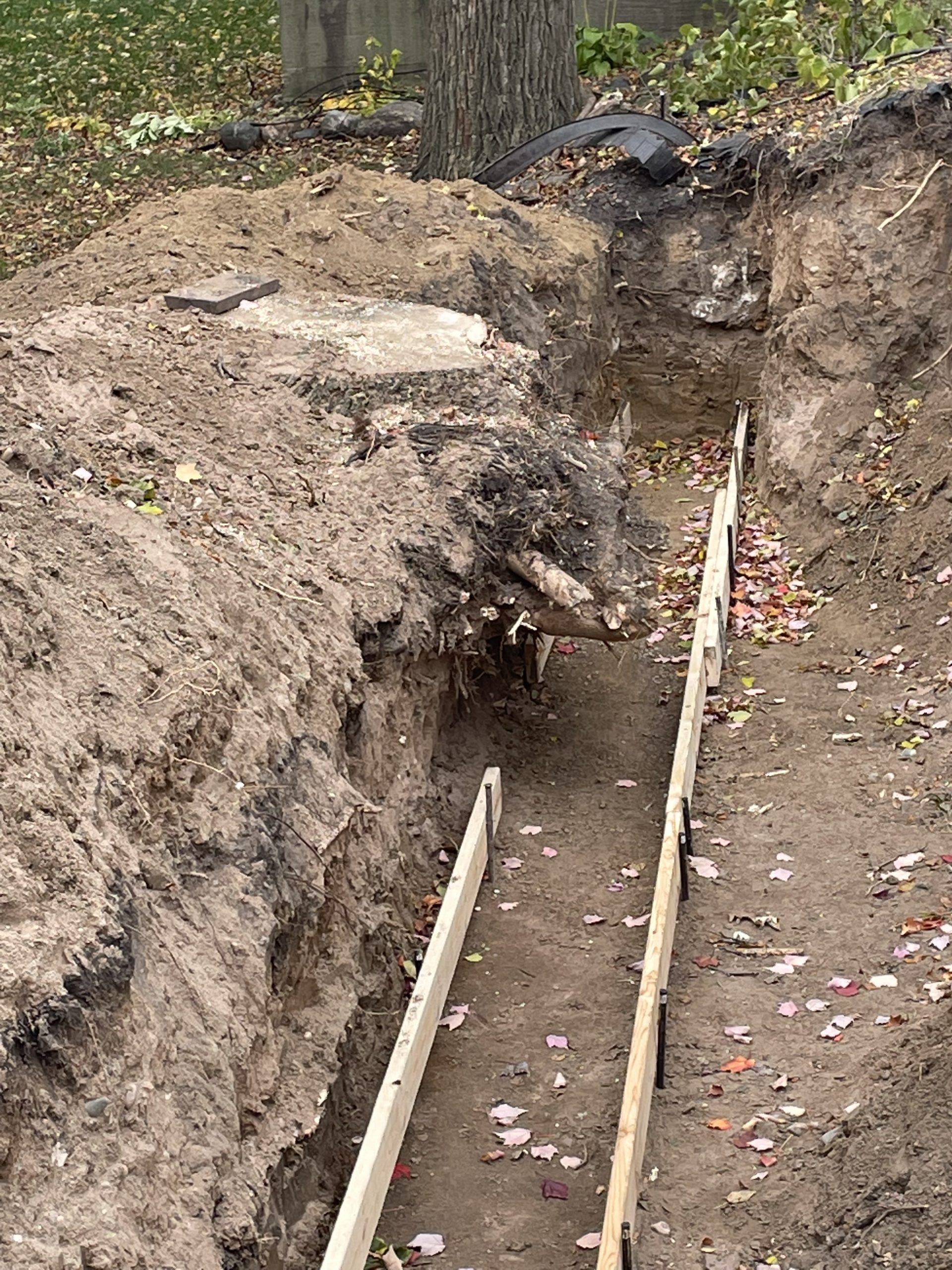 Bye Bye Stumps - Expert Stump Grinding Minneapolis