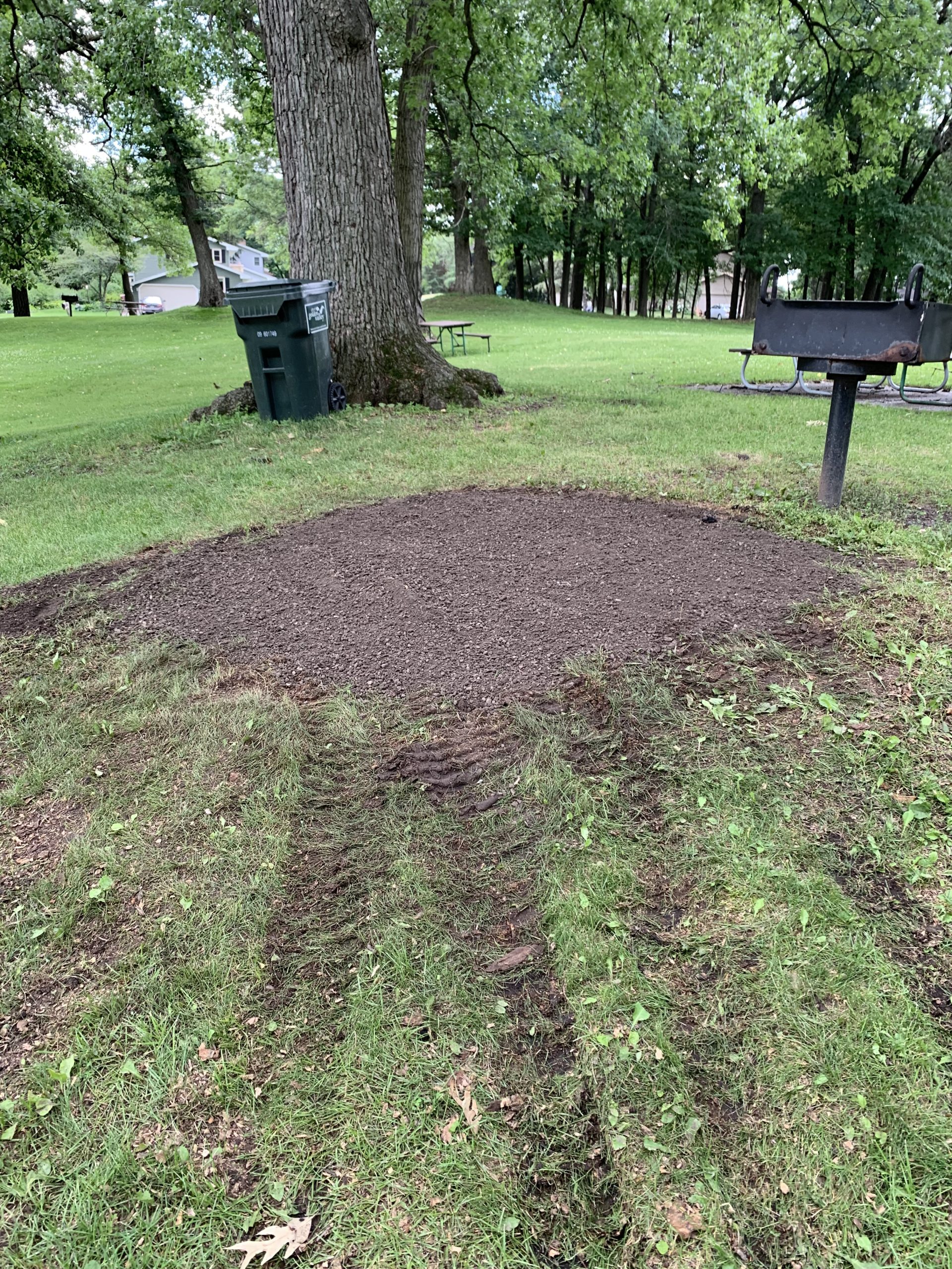 Bye Bye Stumps - Expert Stump Grinding Minneapolis