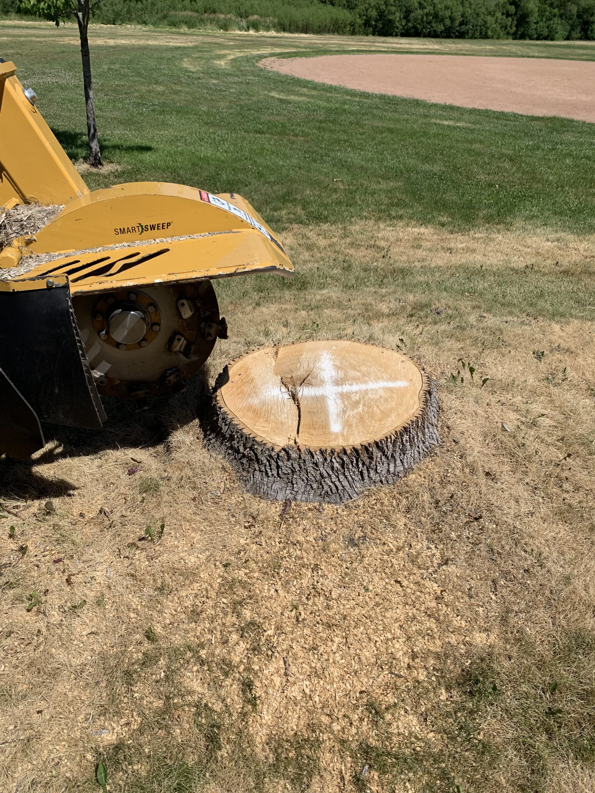 Bye Bye Stumps - Expert Stump Grinding Minneapolis