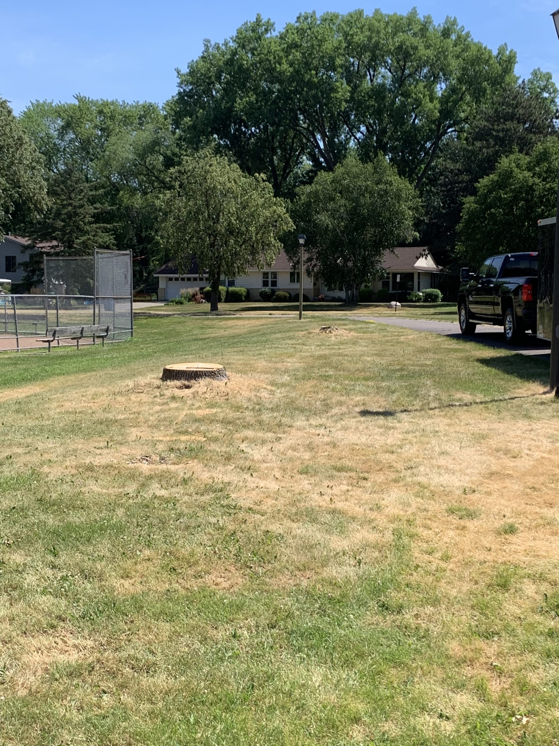 Bye Bye Stumps - Expert Stump Grinding Minneapolis