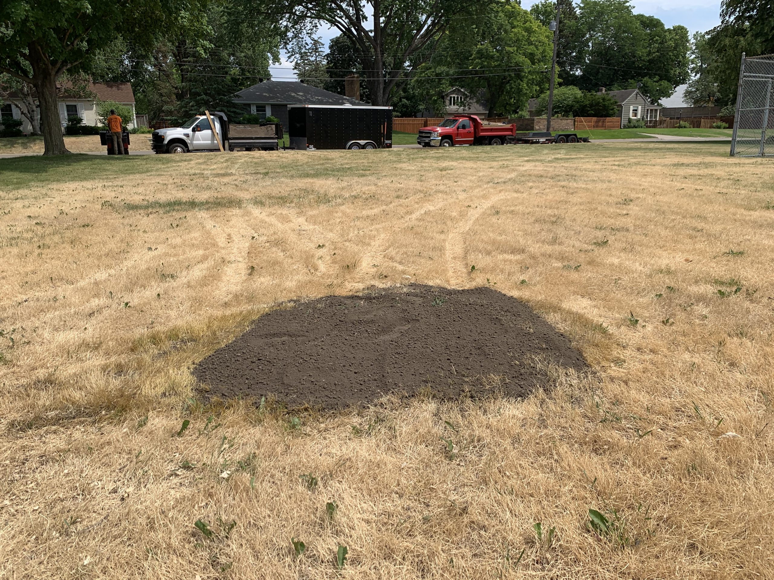 Bye Bye Stumps - Expert Stump Grinding Minneapolis