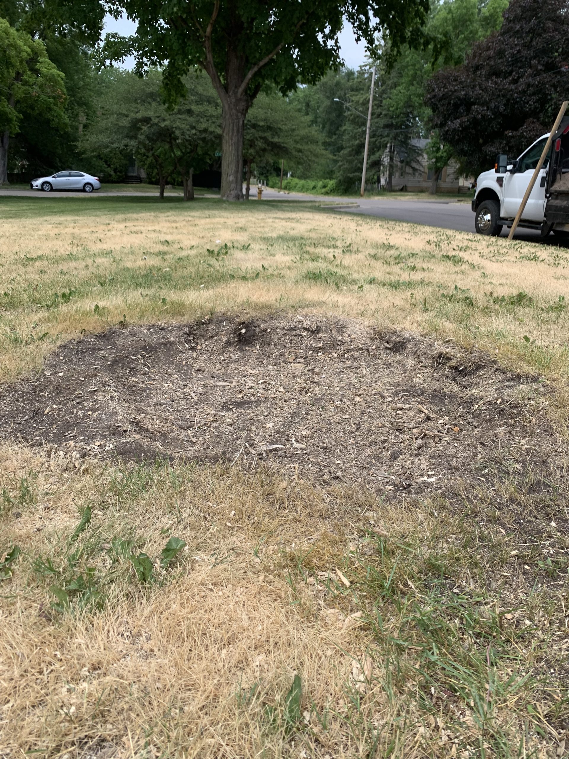 Bye Bye Stumps - Expert Stump Grinding Minneapolis