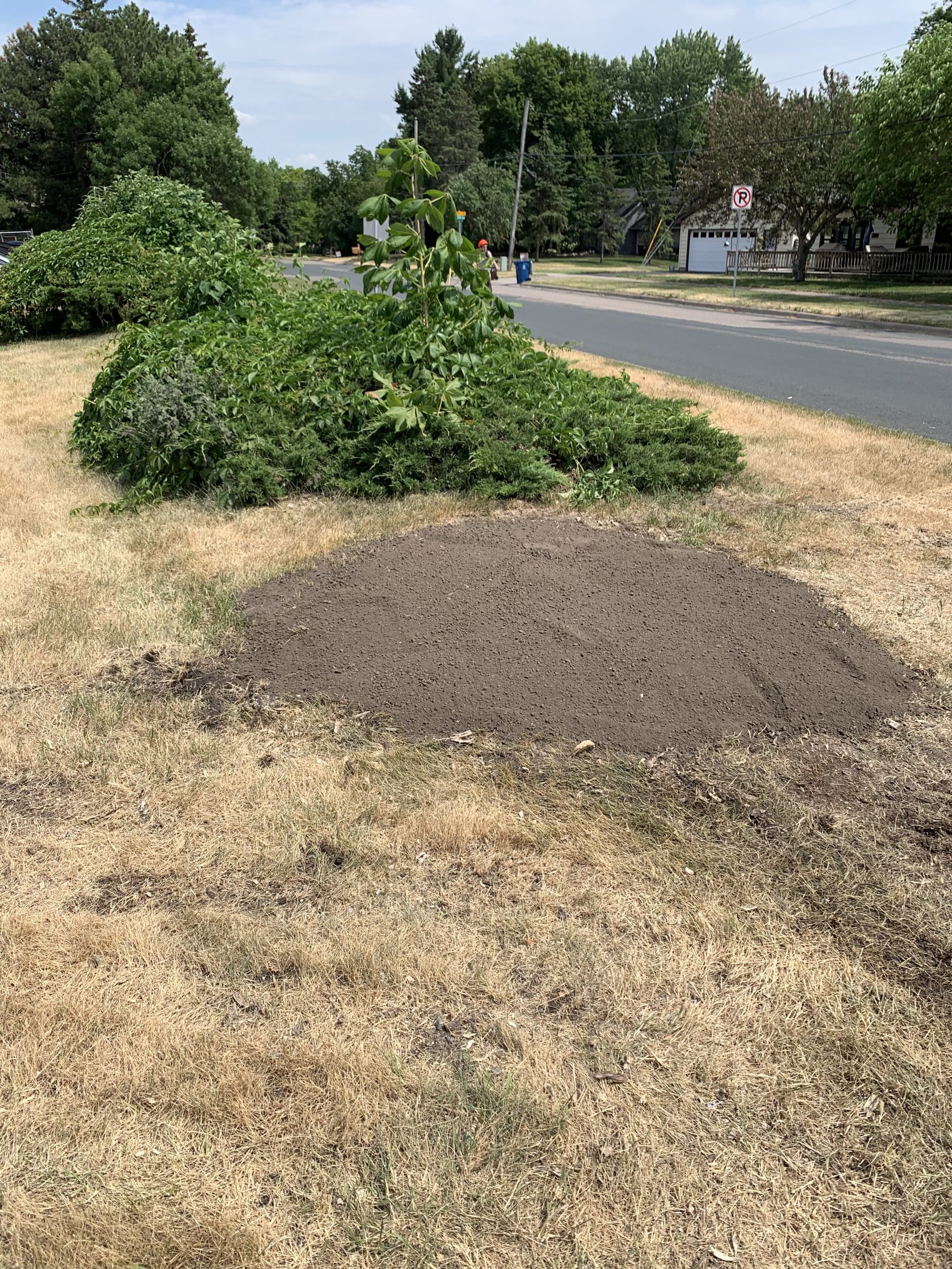 Bye Bye Stumps - Expert Stump Grinding Minneapolis