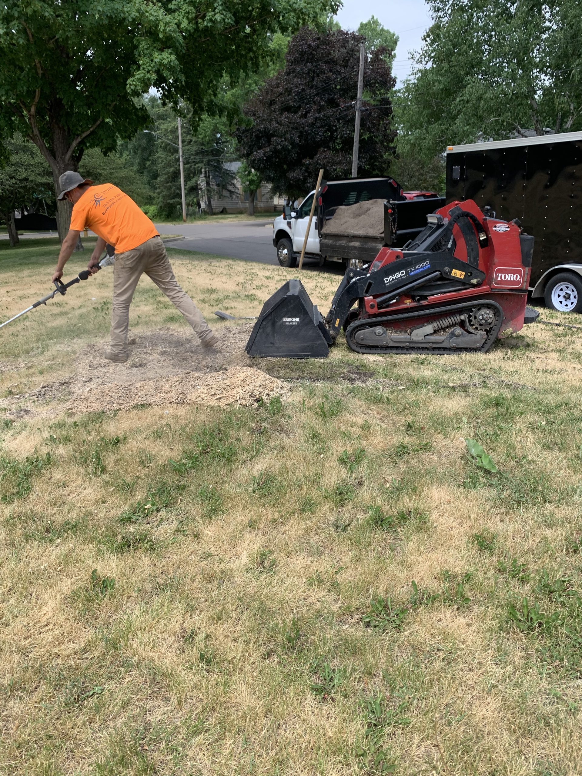 Bye Bye Stumps - Expert Stump Grinding Minneapolis