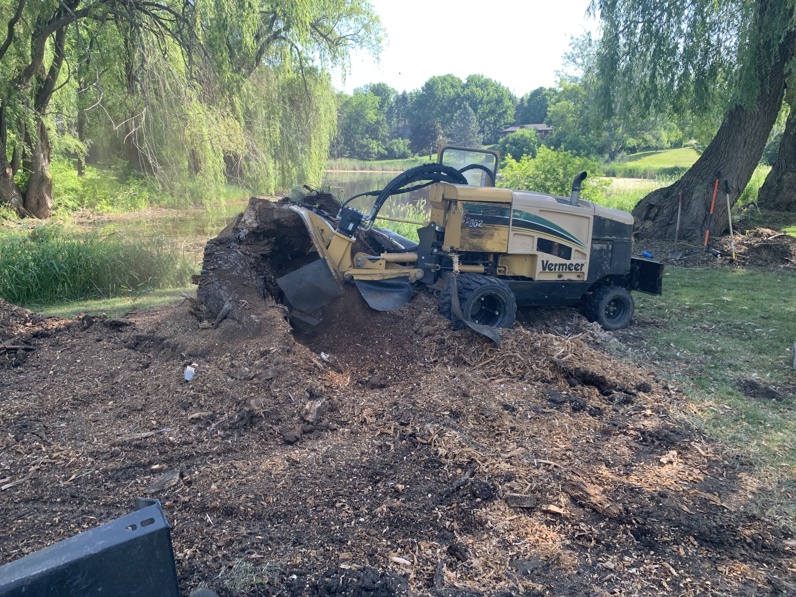 Bye Bye Stumps - Expert Stump Grinding Minneapolis