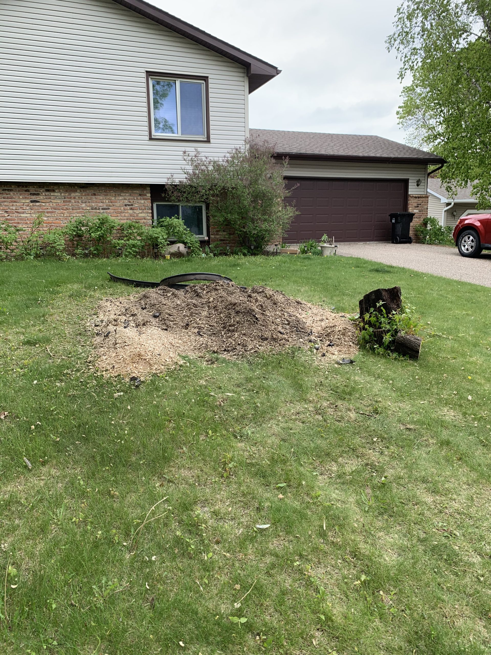 Bye Bye Stumps - Expert Stump Grinding Minneapolis