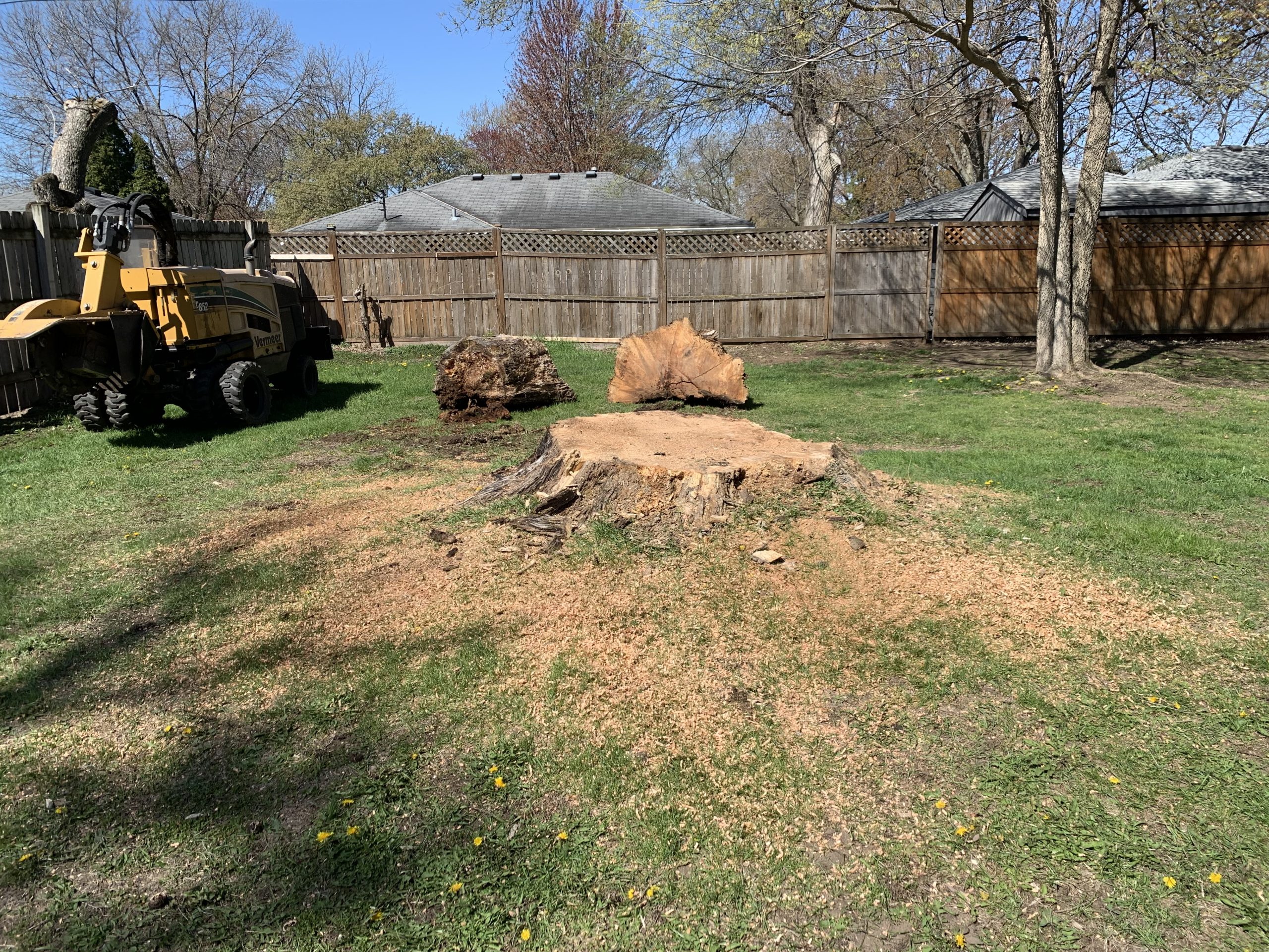 Bye Bye Stumps - Expert Stump Grinding Minneapolis