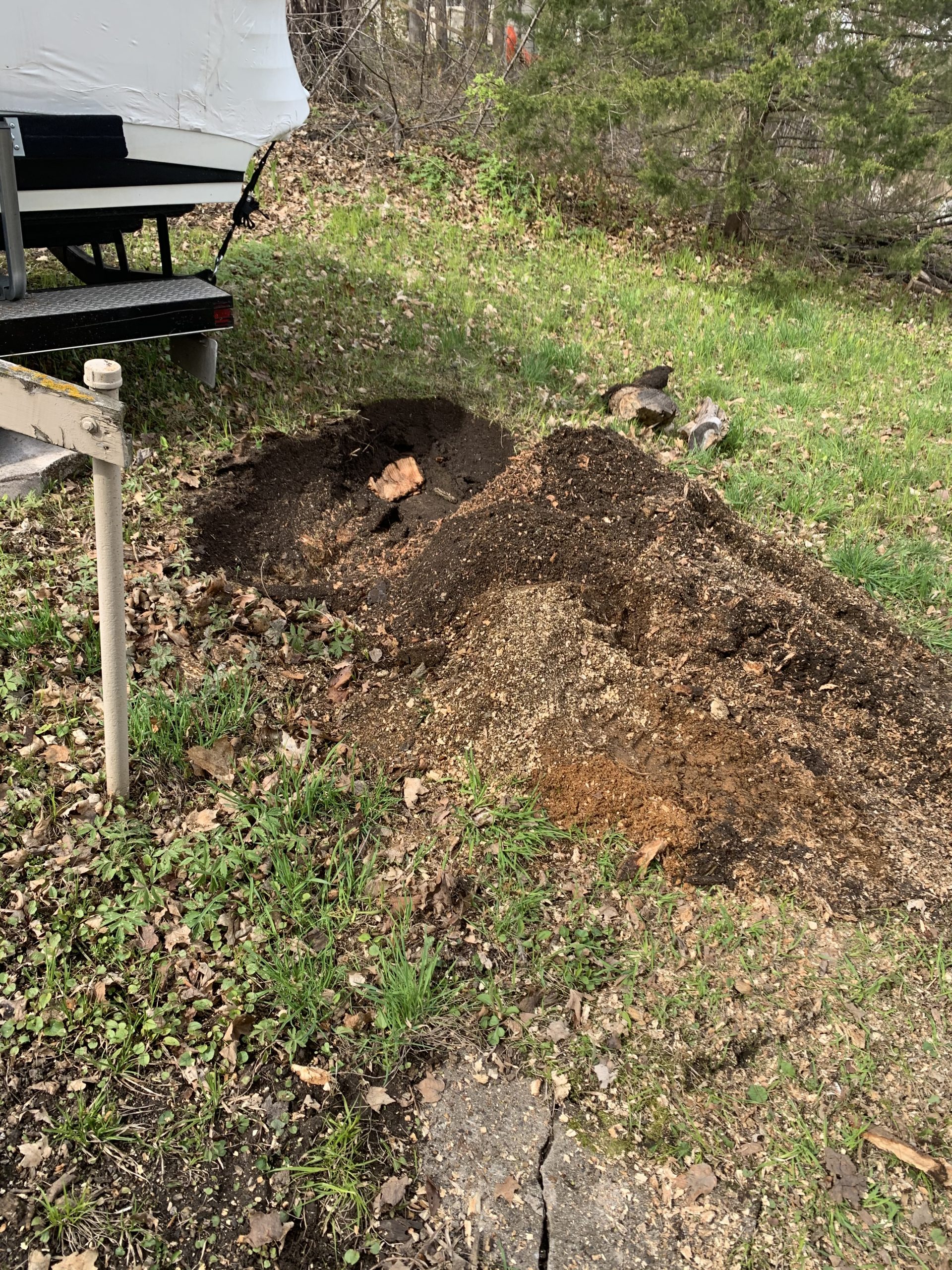 Bye Bye Stumps - Expert Stump Grinding Minneapolis