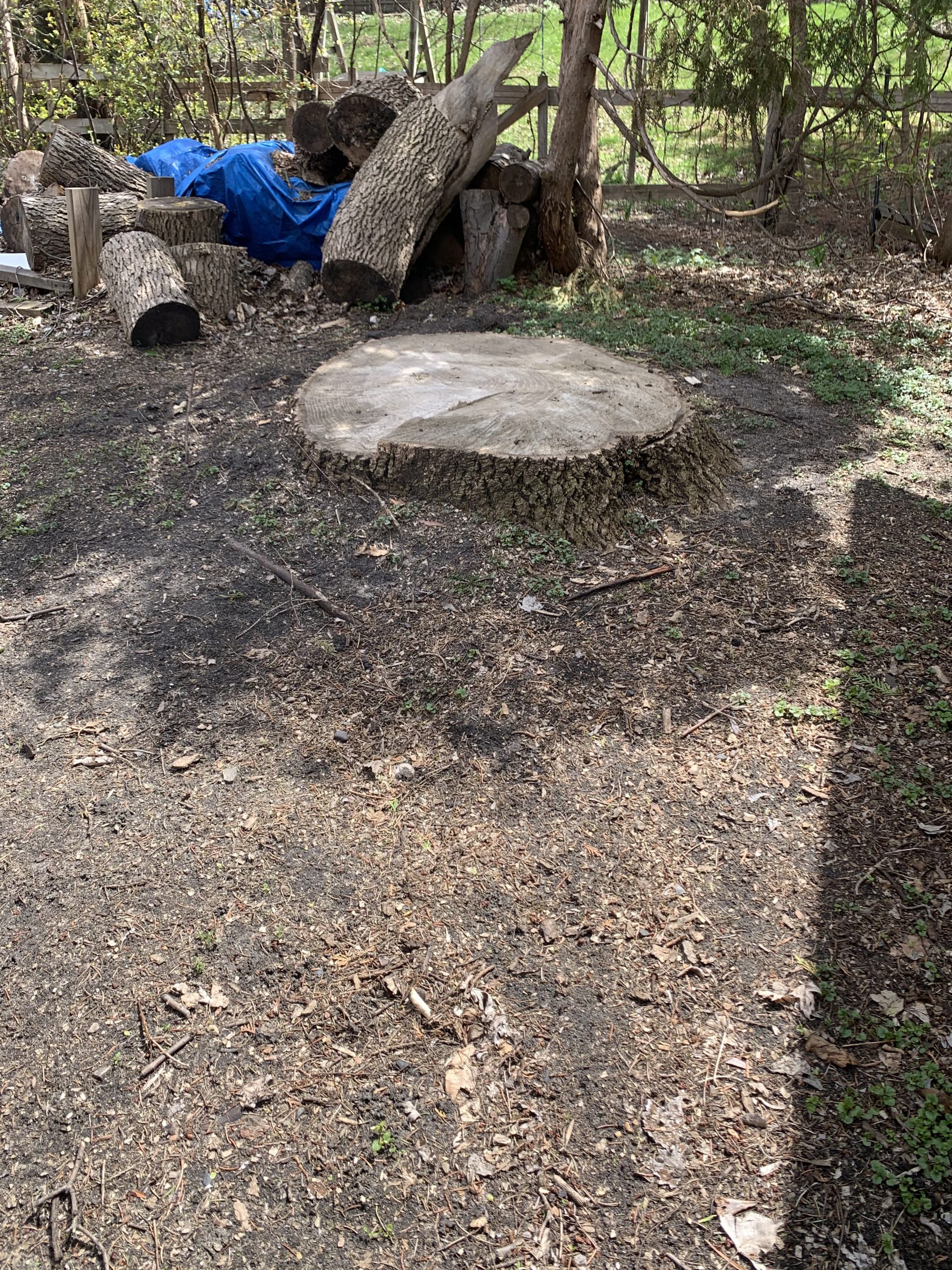 Bye Bye Stumps - Expert Stump Grinding Minneapolis