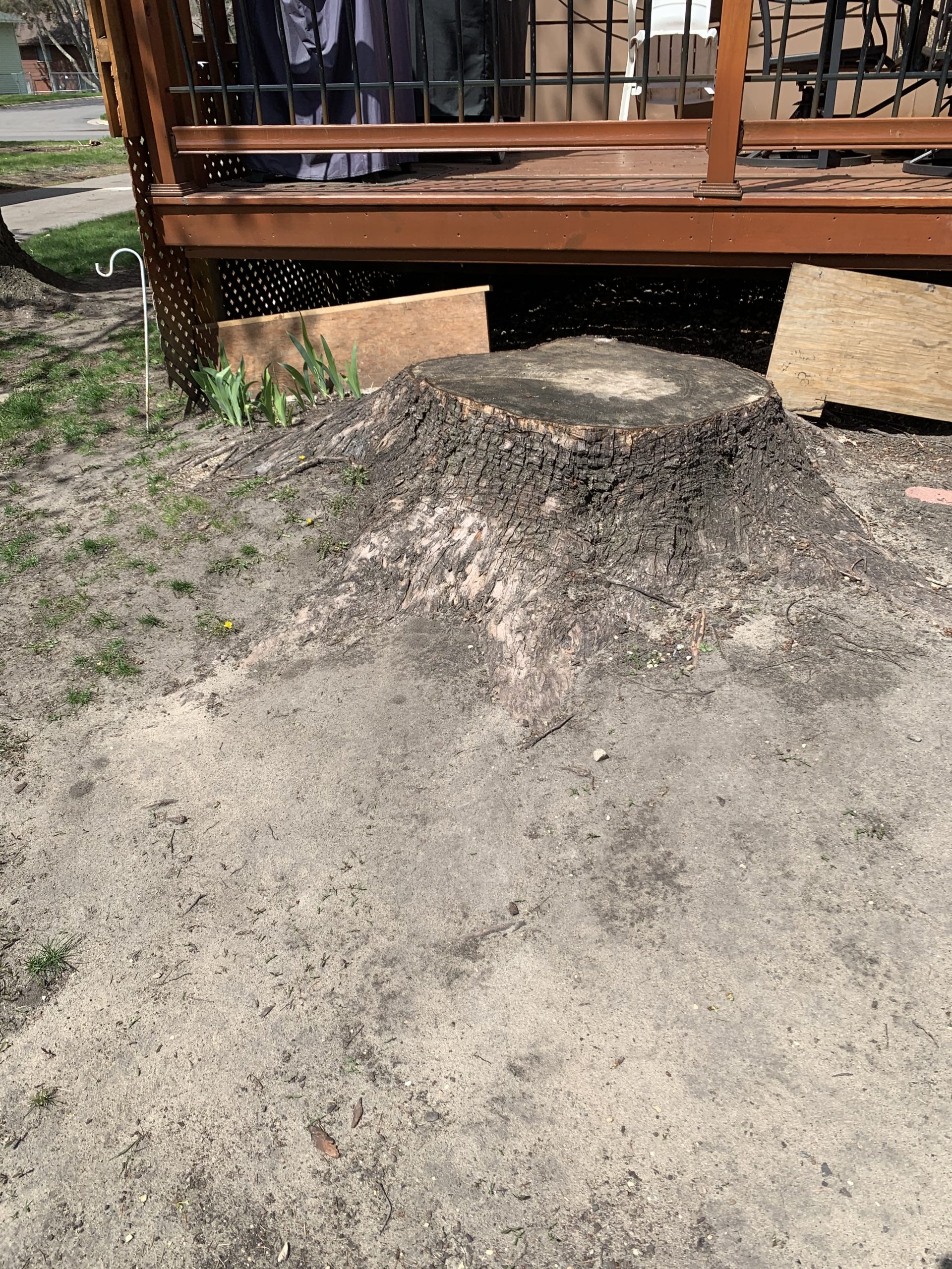 Bye Bye Stumps - Expert Stump Grinding Minneapolis