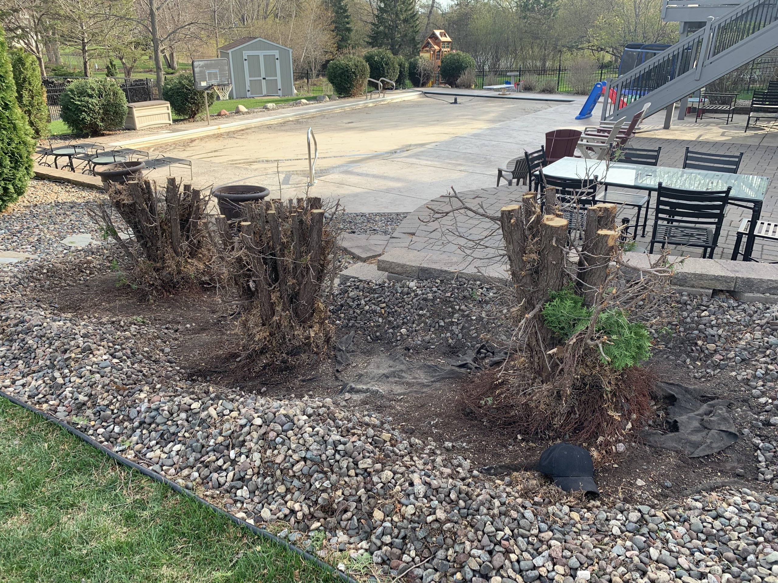 Bye Bye Stumps - Expert Stump Grinding Minneapolis