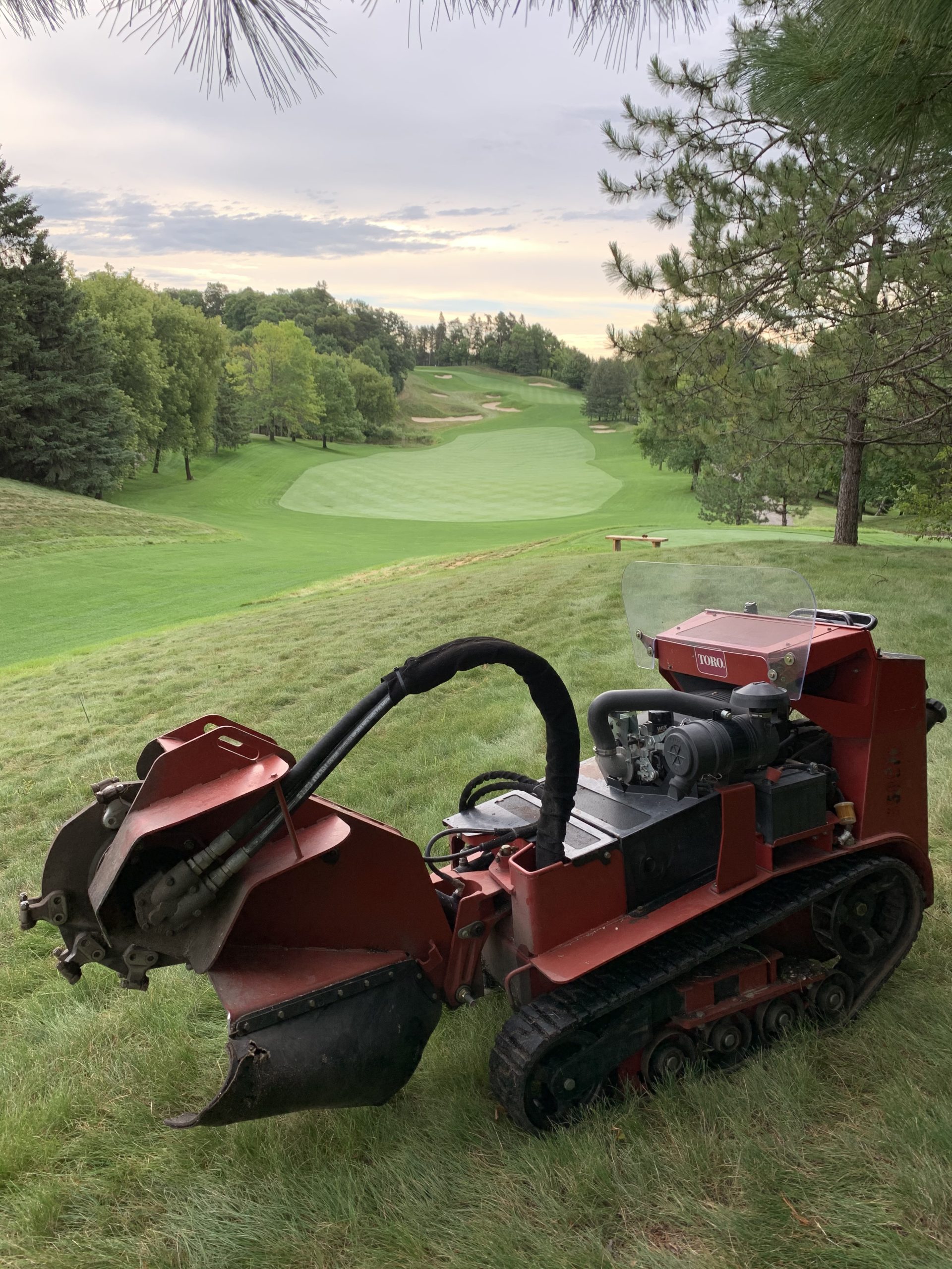 Bye Bye Stumps - Expert Stump Grinding Minneapolis