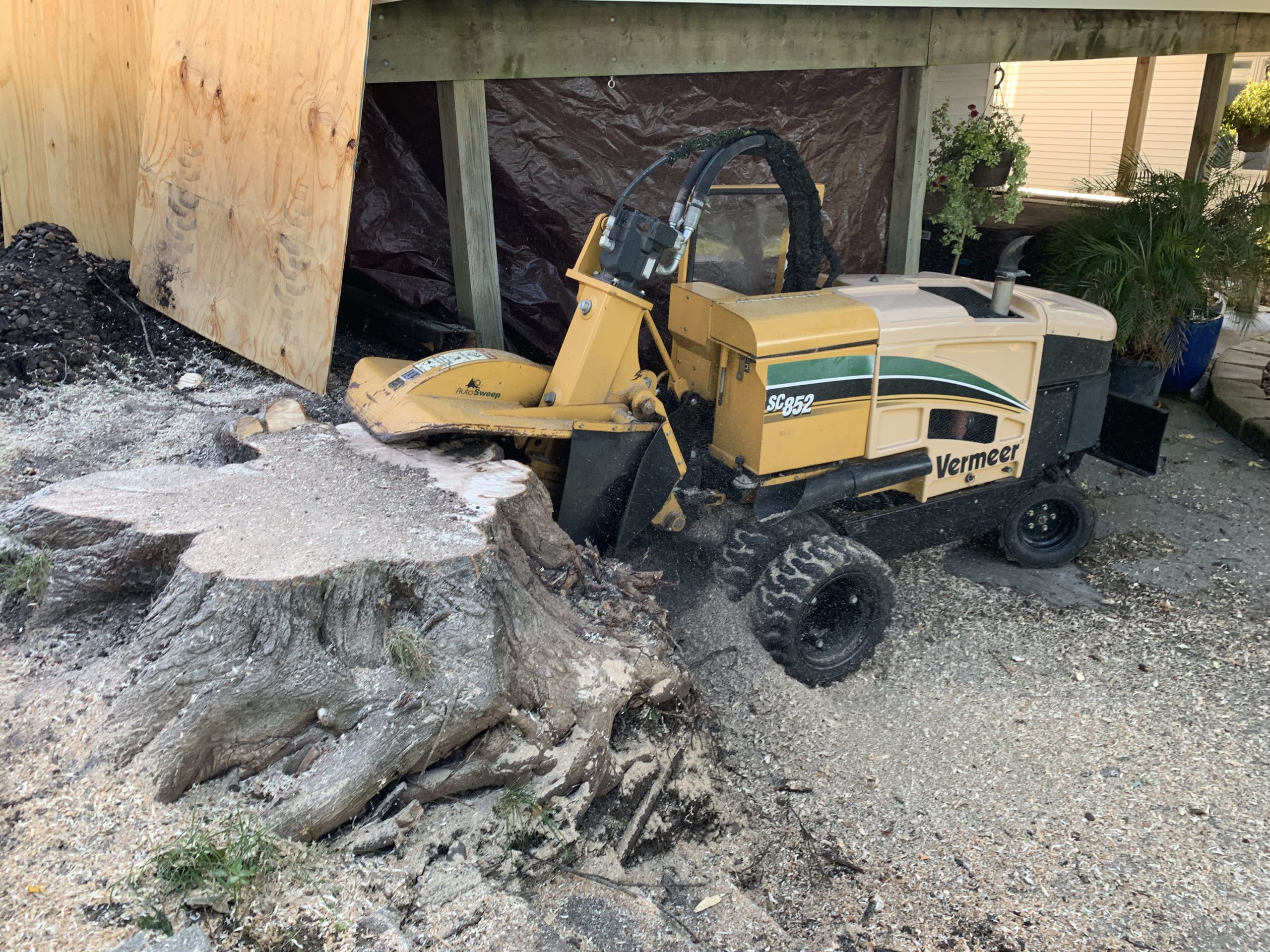 Bye Bye Stumps - Expert Stump Grinding Minneapolis