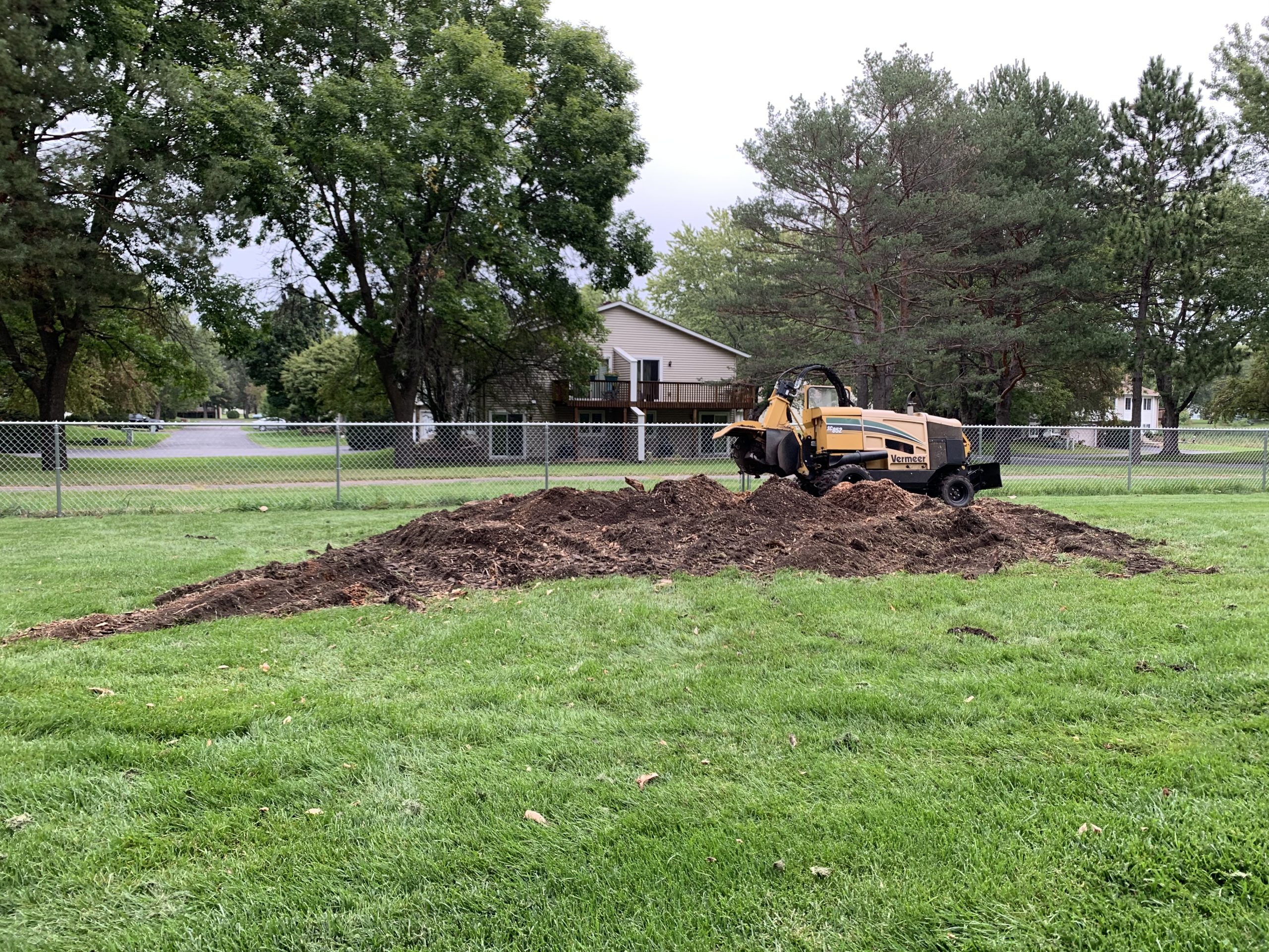 Bye Bye Stumps - Expert Stump Grinding Minneapolis