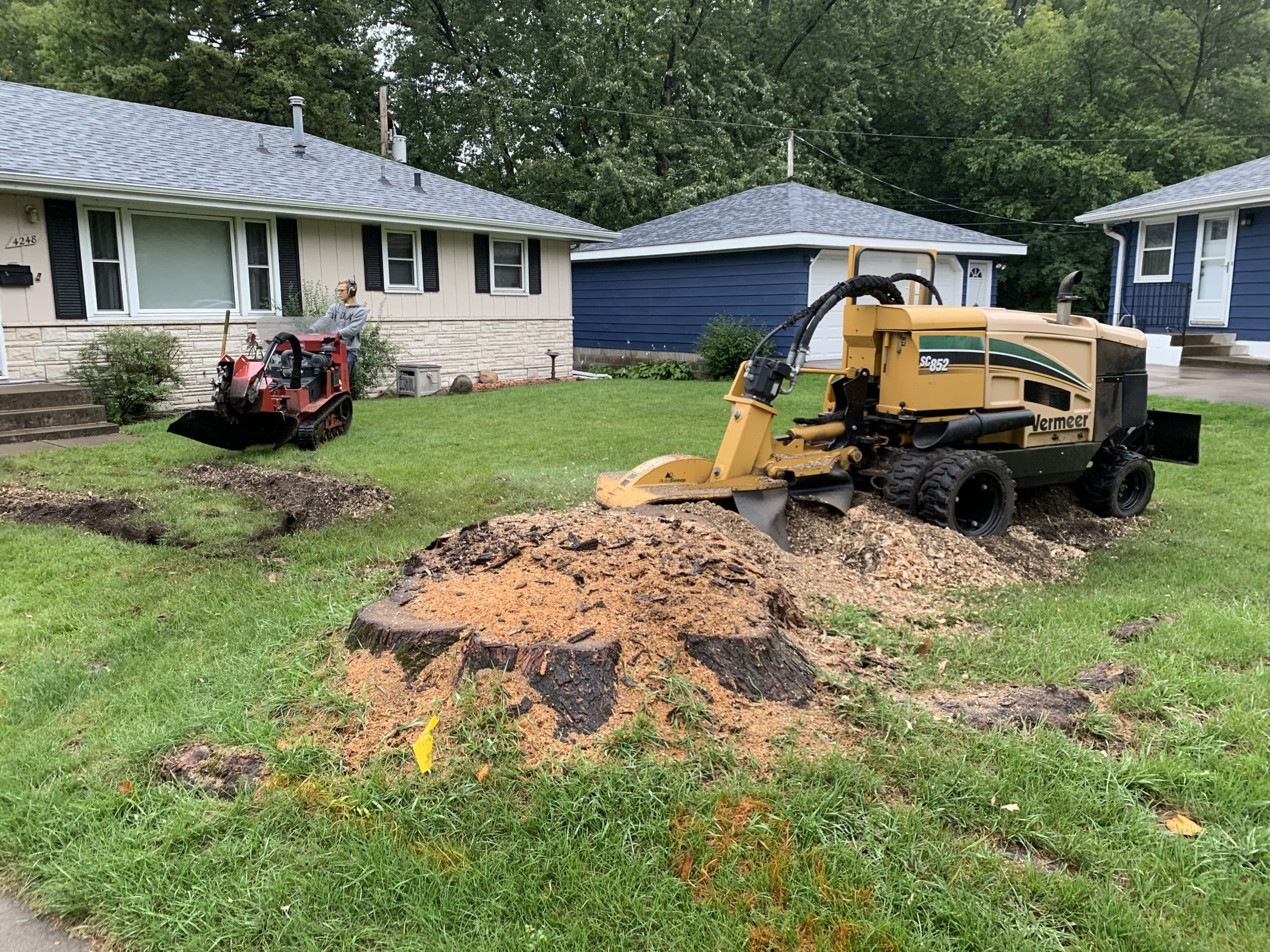 Bye Bye Stumps - Expert Stump Grinding Minneapolis