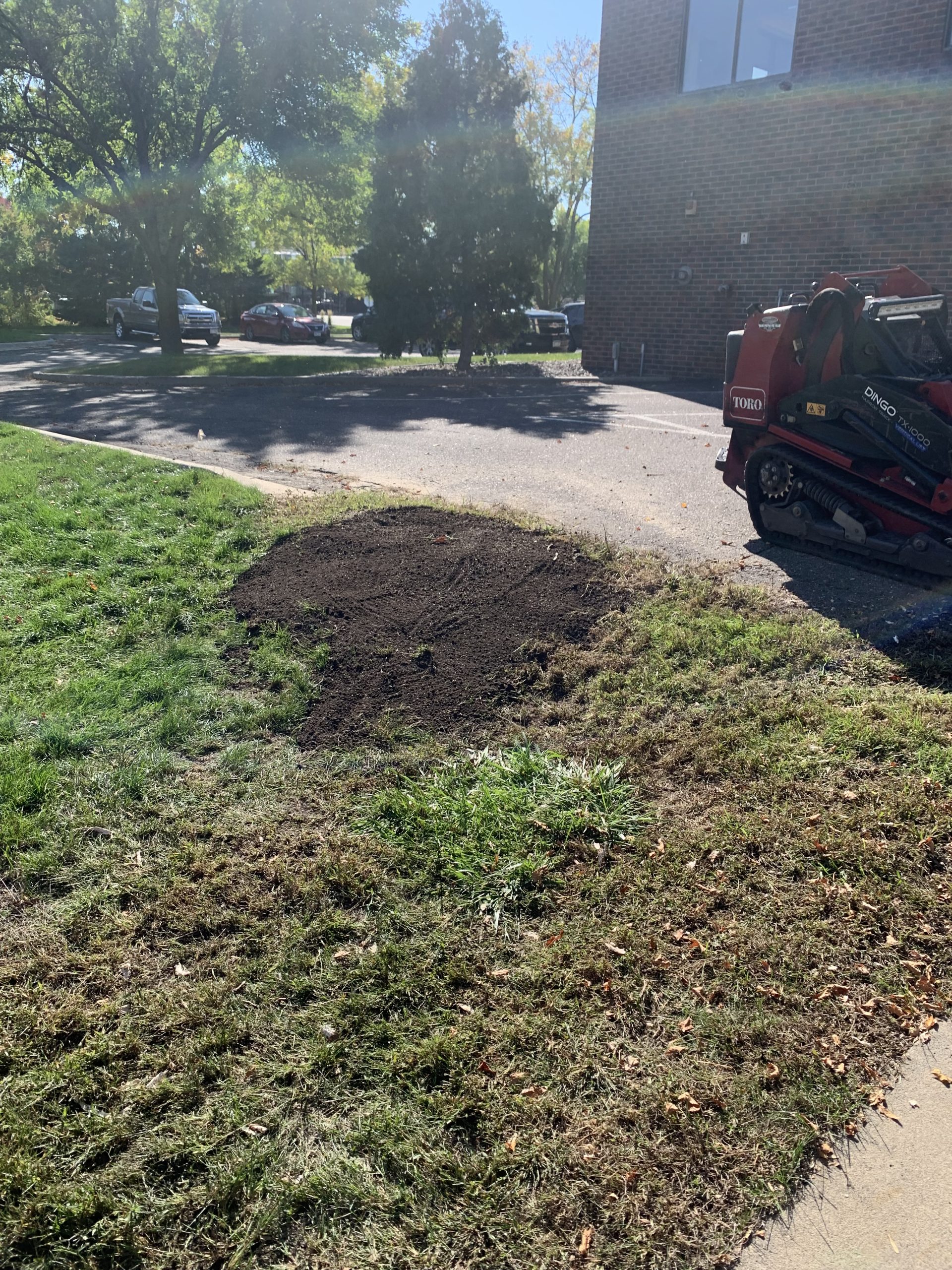 Bye Bye Stumps - Expert Stump Grinding Minneapolis