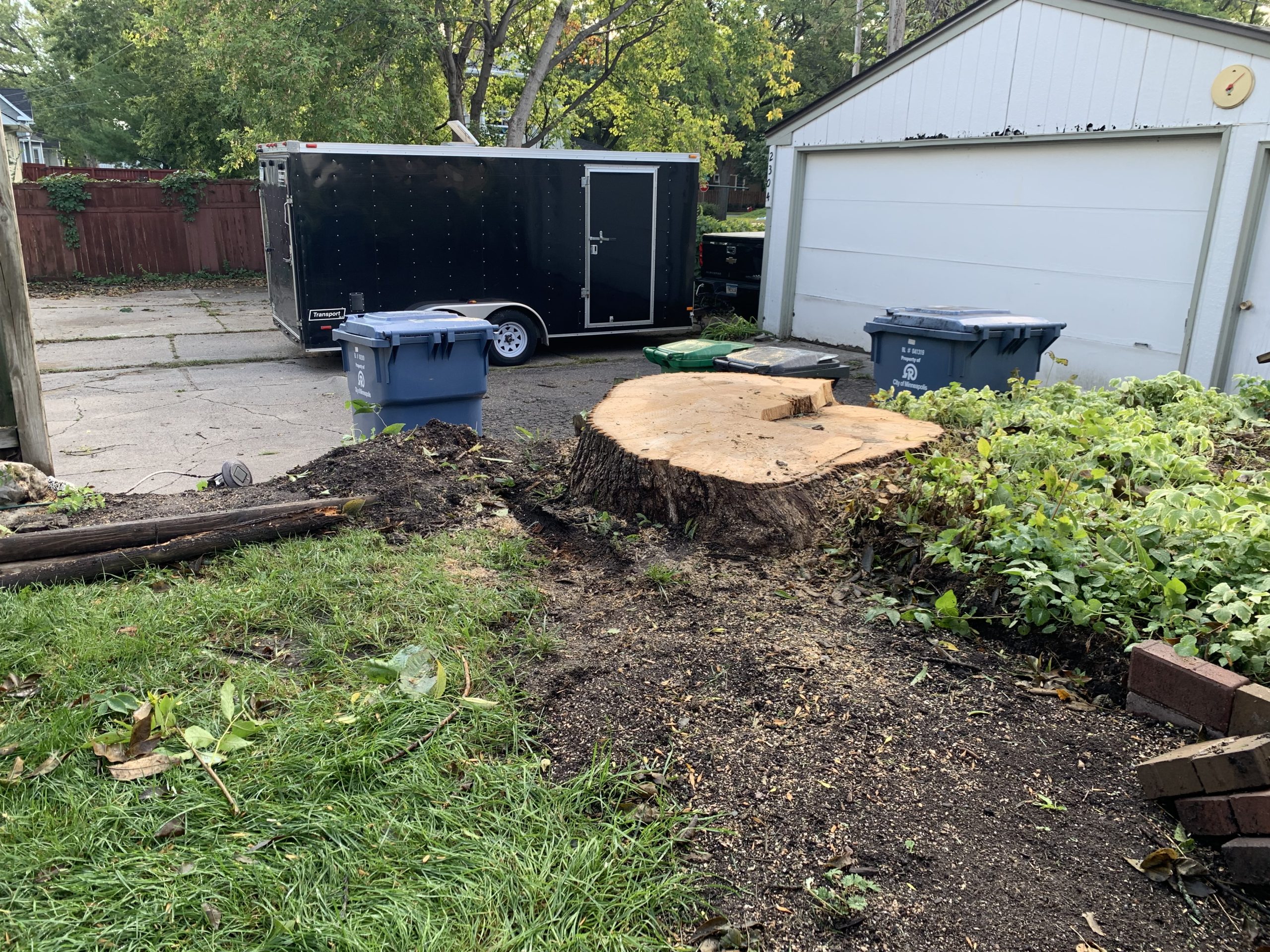 Bye Bye Stumps - Expert Stump Grinding Minneapolis