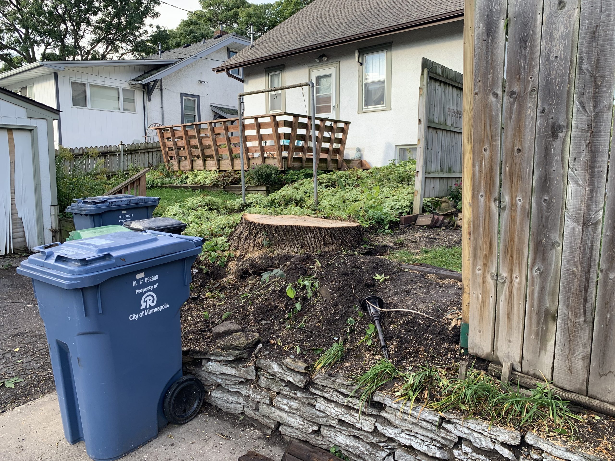 Bye Bye Stumps - Expert Stump Grinding Minneapolis