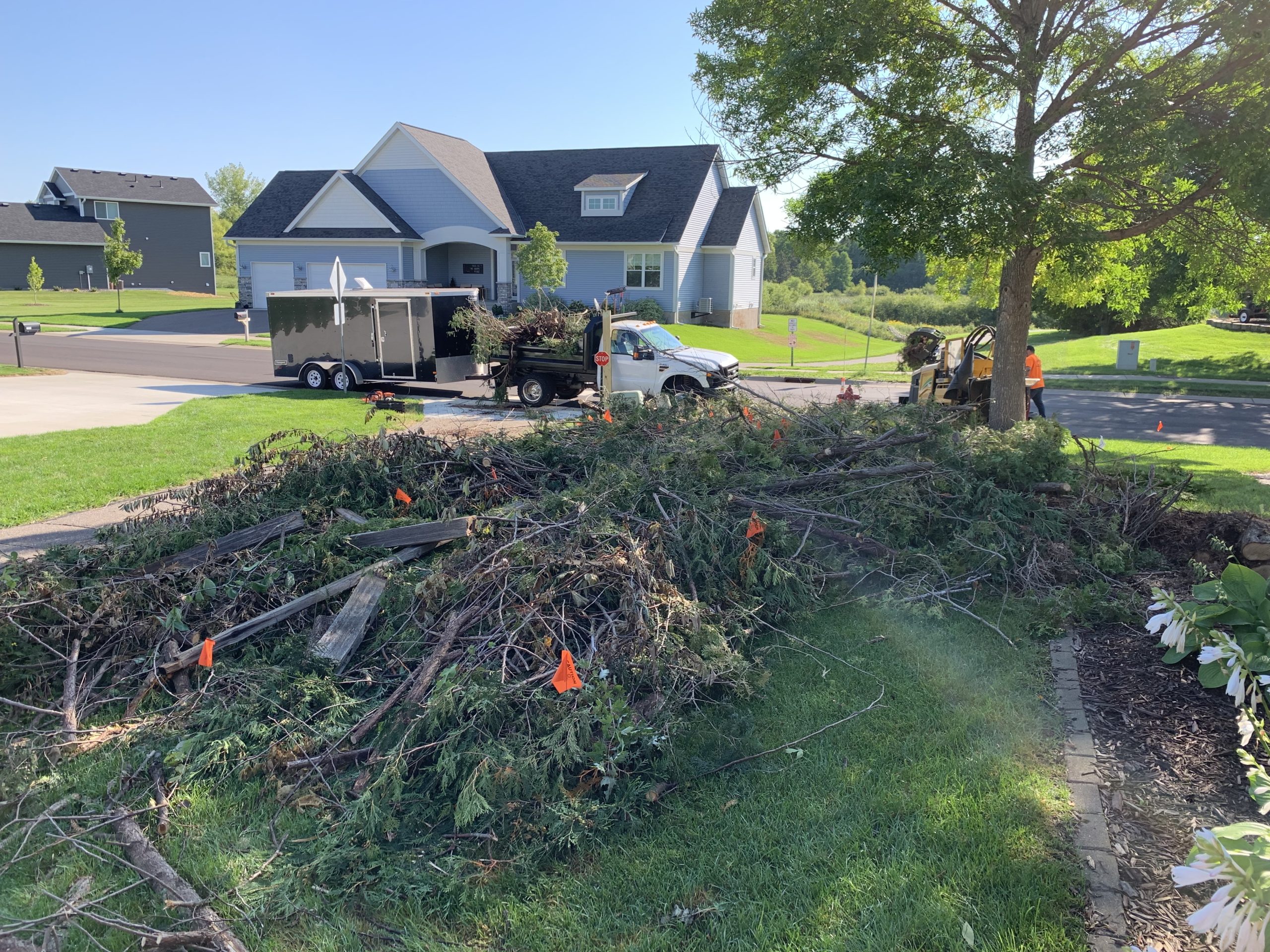 Bye Bye Stumps - Expert Stump Grinding Minneapolis