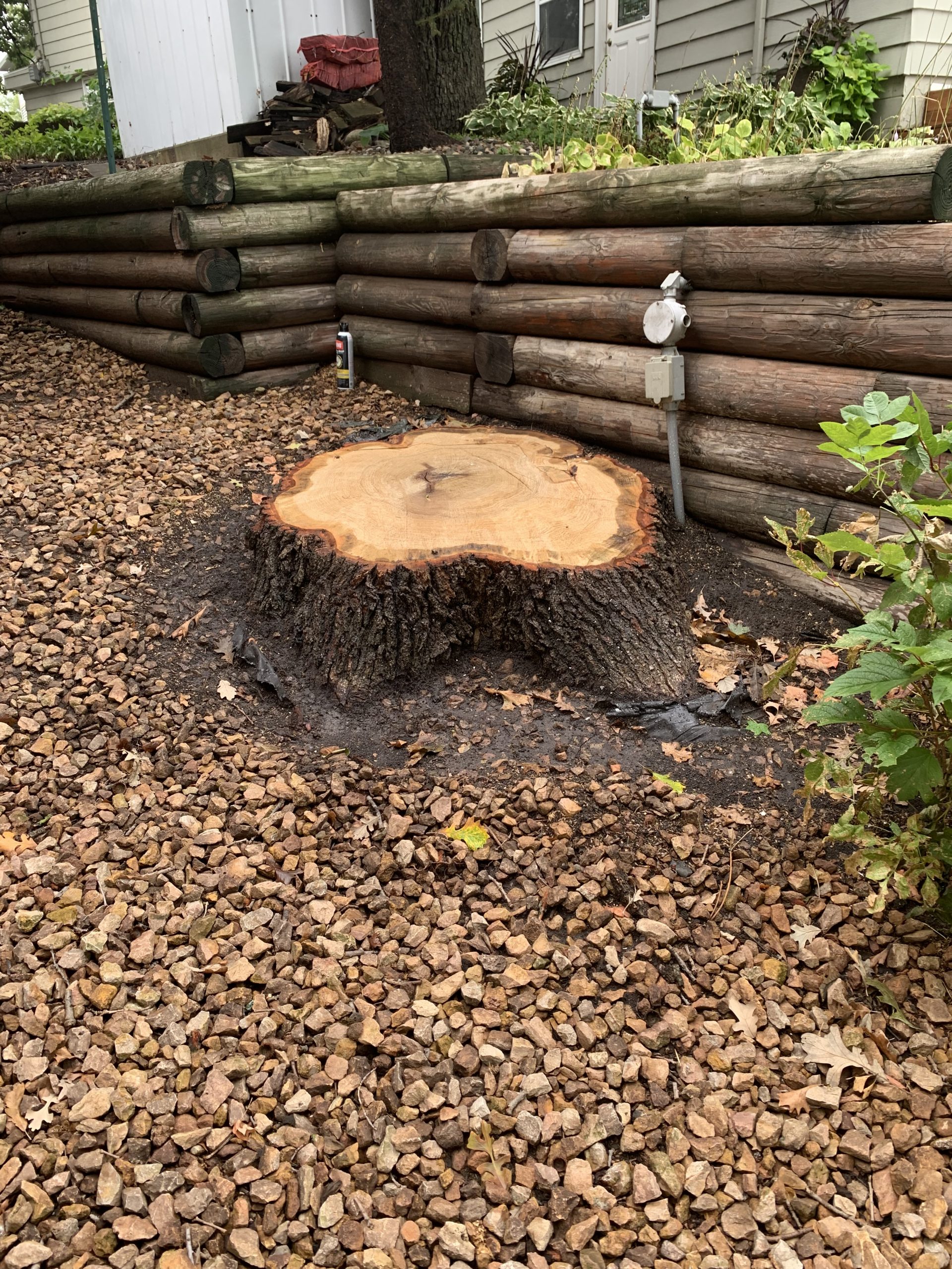 Bye Bye Stumps - Expert Stump Grinding Minneapolis