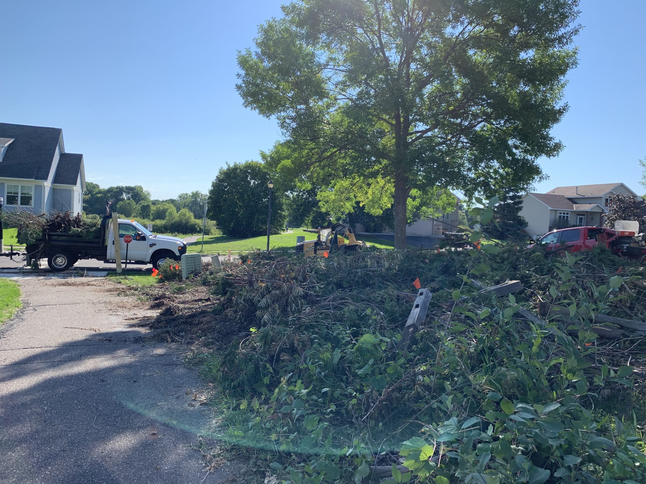 Bye Bye Stumps - Expert Stump Grinding Minneapolis