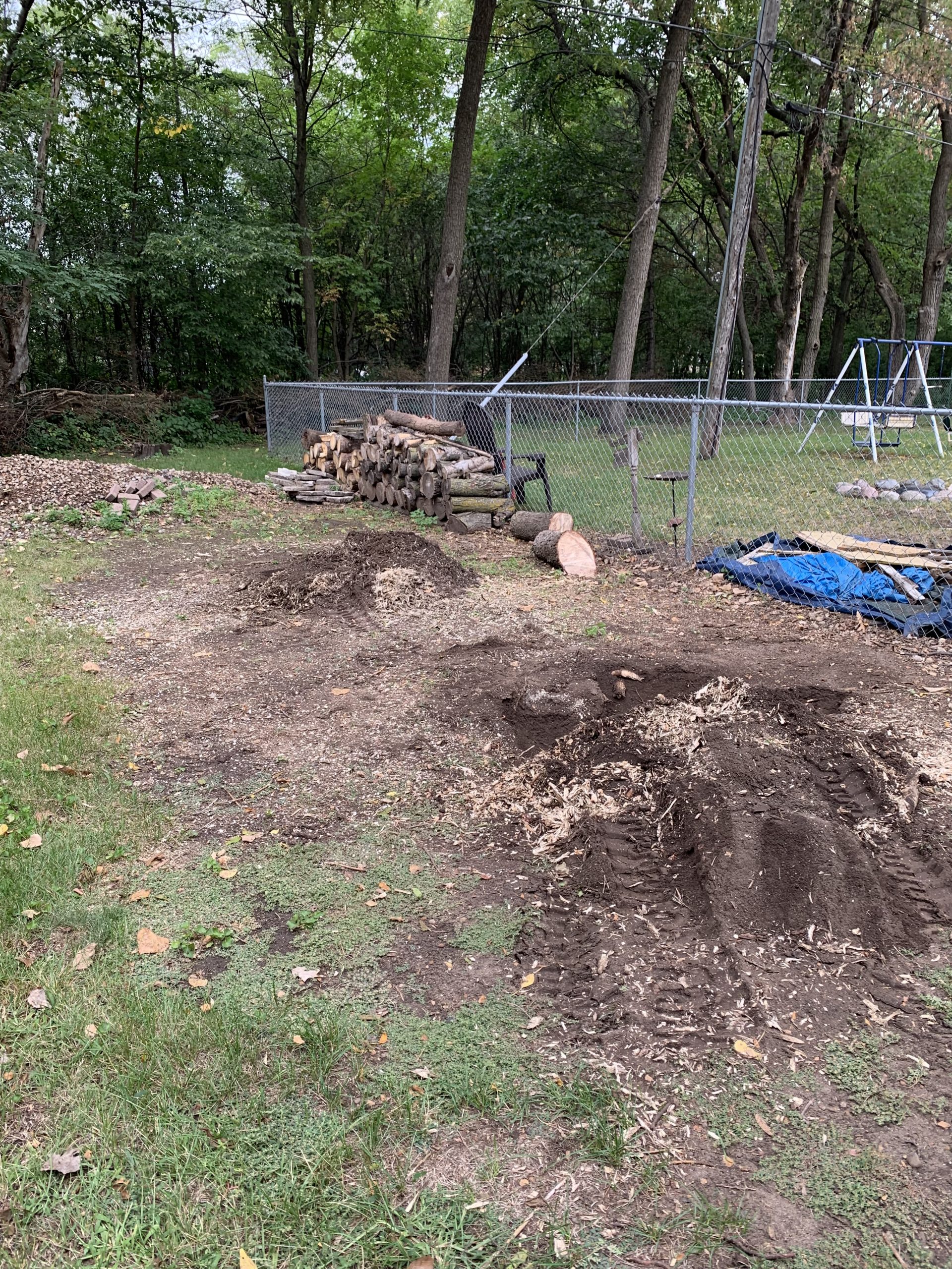 Bye Bye Stumps - Expert Stump Grinding Minneapolis