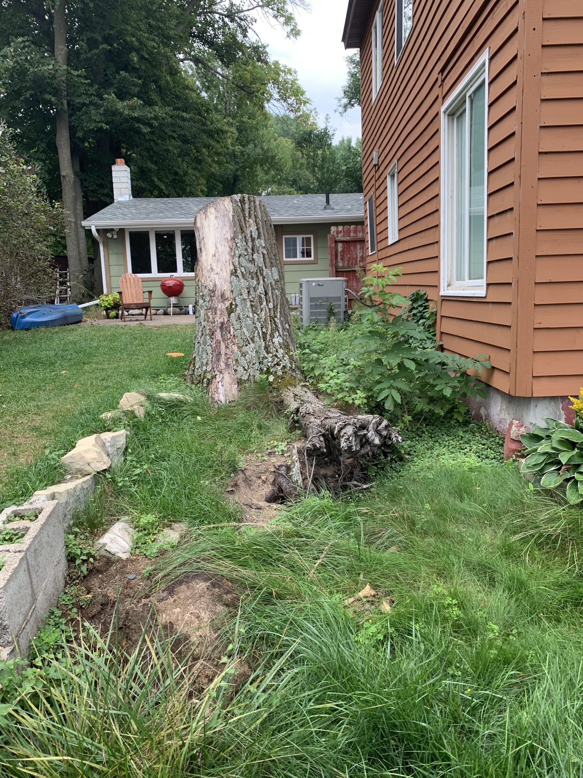 Bye Bye Stumps - Expert Stump Grinding Minneapolis