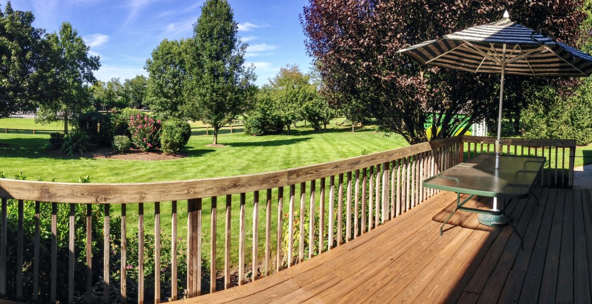 Backyard deck in the summertime