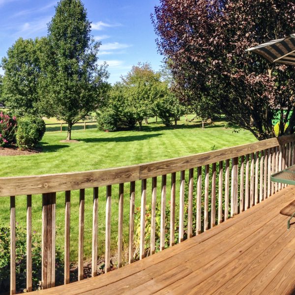 Backyard deck in the summertime